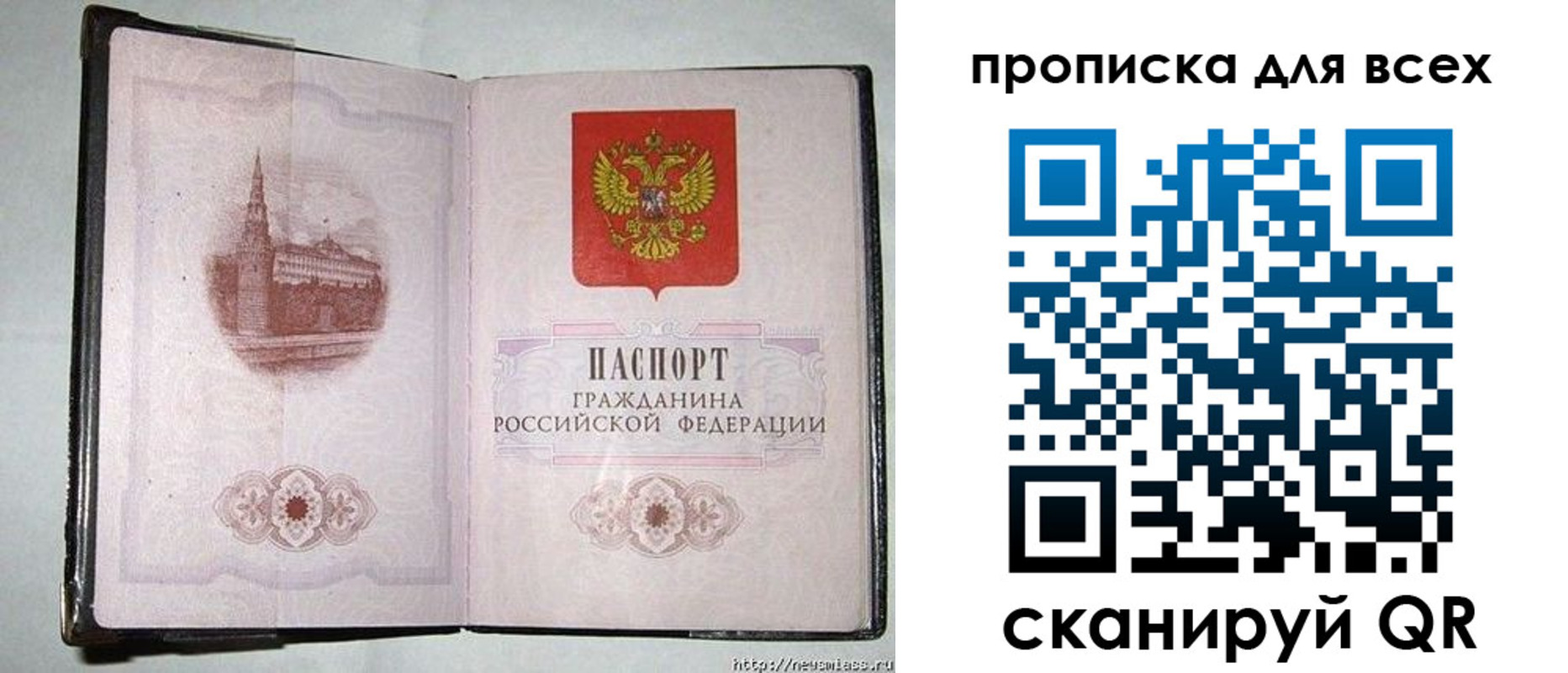 прописка в Коврове